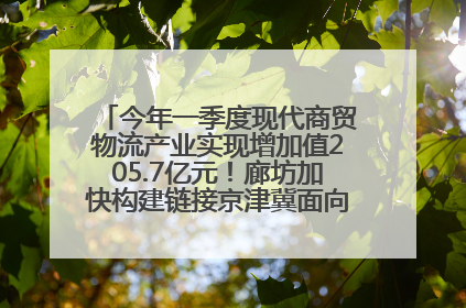 今年一季度现代商贸物流产业实现增加值205.7亿元！廊坊加快构建链接京津冀面向全世界的物流通道
