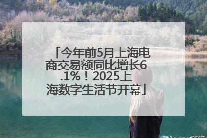 今年前5月上海电商交易额同比增长6.1%！2025上海数字生活节开幕
