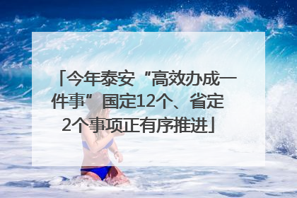 今年泰安“高效办成一件事”国定12个、省定2个事项正有序推进