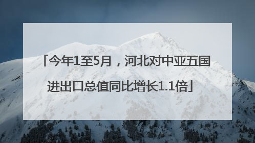 今年1至5月，河北对中亚五国进出口总值同比增长1.1倍