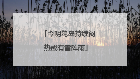 今明鹭岛持续闷热或有雷阵雨