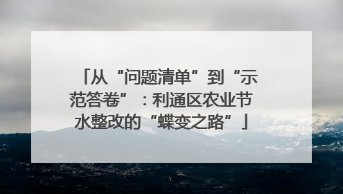从“问题清单”到“示范答卷”：利通区农业节水整改的“蝶变之路”