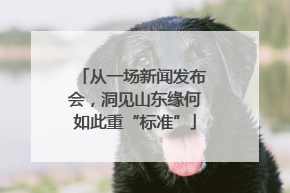 从一场新闻发布会，洞见山东缘何如此重“标准”