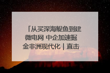 从买深海鳀鱼到建微电网 中企加速掘金非洲现代化｜直击中非经贸博览会