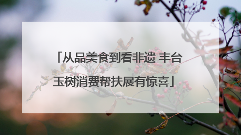 从品美食到看非遗 丰台玉树消费帮扶展有惊喜
