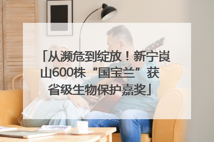 从濒危到绽放！新宁崀山600株“国宝兰”获省级生物保护嘉奖