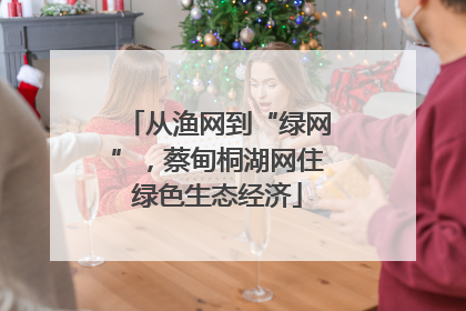 从渔网到“绿网”，蔡甸桐湖网住绿色生态经济