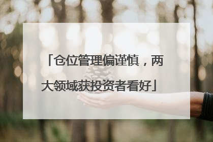 仓位管理偏谨慎，两大领域获投资者看好