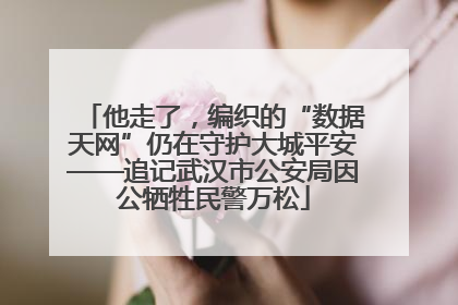 他走了，编织的“数据天网”仍在守护大城平安——追记武汉市公安局因公牺牲民警万松
