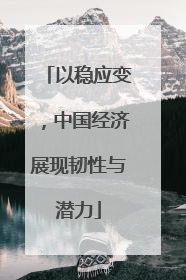 以稳应变,中国经济展现韧性与潜力