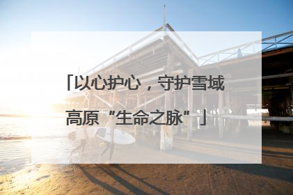 以心护心，守护雪域高原“生命之脉”