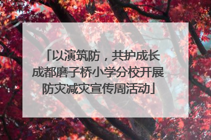 以演筑防，共护成长 成都磨子桥小学分校开展防灾减灾宣传周活动