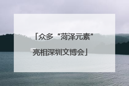 众多“菏泽元素”亮相深圳文博会