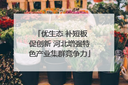 优生态 补短板 促创新 河北增强特色产业集群竞争力