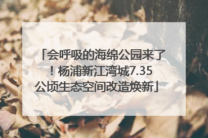 会呼吸的海绵公园来了！杨浦新江湾城7.35公顷生态空间改造焕新