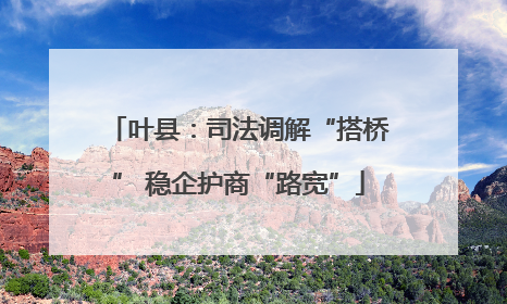 叶县：司法调解“搭桥” 稳企护商“路宽”