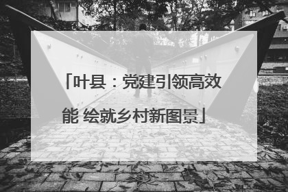 叶县：党建引领高效能 绘就乡村新图景