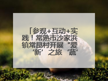 参观+互动+实践！常熟市沙家浜镇常昆村开展“爱‘新’之旅‘蔬’适生活”参观学习活动