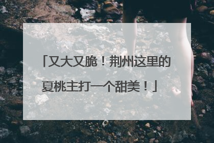 又大又脆！荆州这里的夏桃主打一个甜美！