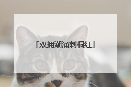 双拥潮涌刺桐红