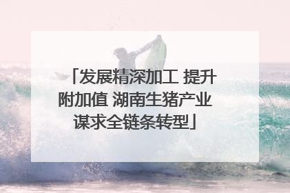 发展精深加工 提升附加值 湖南生猪产业谋求全链条转型