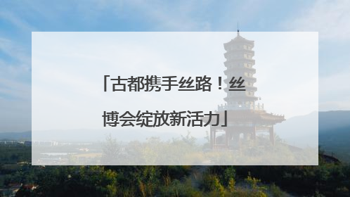 古都携手丝路！丝博会绽放新活力