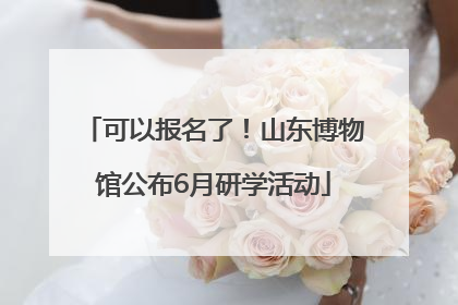 可以报名了！山东博物馆公布6月研学活动