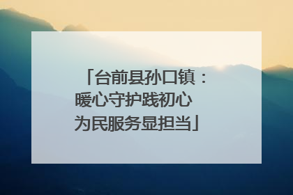 台前县孙口镇：暖心守护践初心 为民服务显担当