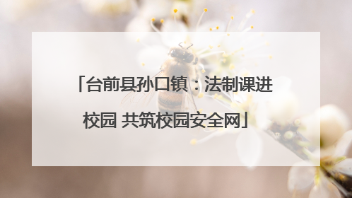 台前县孙口镇：法制课进校园 共筑校园安全网