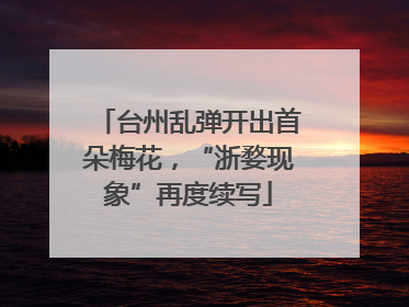 台州乱弹开出首朵梅花，“浙婺现象”再度续写