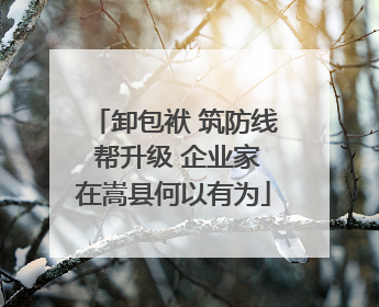 卸包袱 筑防线 帮升级 企业家在嵩县何以有为