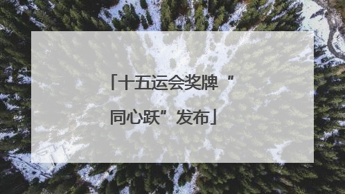 十五运会奖牌“同心跃”发布