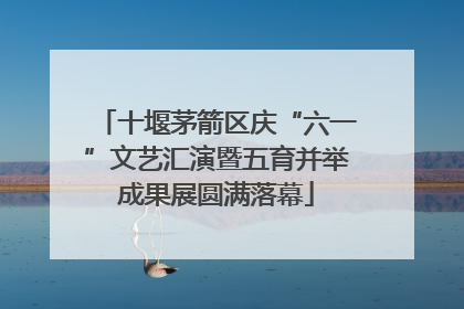 十堰茅箭区庆“六一”文艺汇演暨五育并举成果展圆满落幕