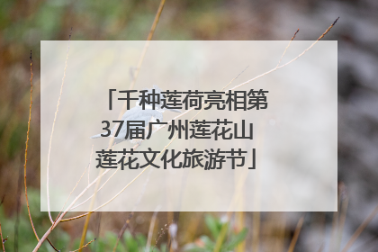 千种莲荷亮相第37届广州莲花山莲花文化旅游节