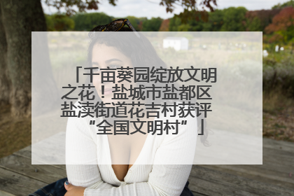 千亩葵园绽放文明之花！盐城市盐都区盐渎街道花吉村获评“全国文明村”