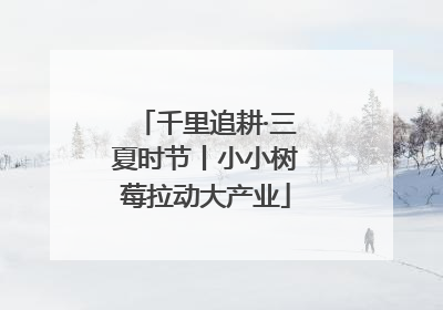 千里追耕·三夏时节丨小小树莓拉动大产业