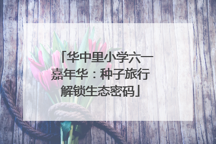 华中里小学六一嘉年华：种子旅行解锁生态密码