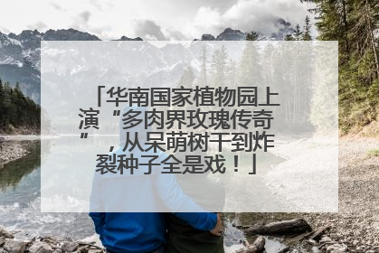 华南国家植物园上演“多肉界玫瑰传奇”，从呆萌树干到炸裂种子全是戏！