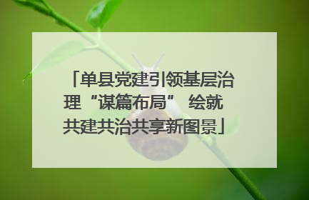 单县党建引领基层治理“谋篇布局” 绘就共建共治共享新图景
