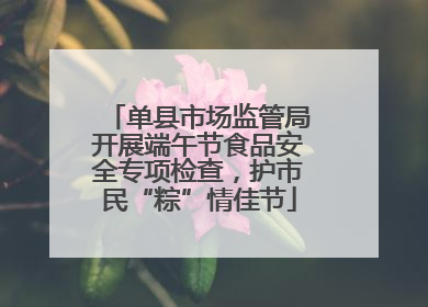 单县市场监管局开展端午节食品安全专项检查，护市民“粽”情佳节