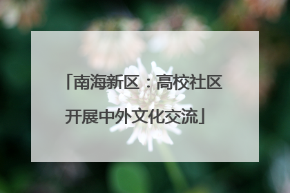南海新区：高校社区开展中外文化交流