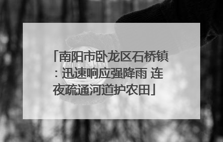 南阳市卧龙区石桥镇：迅速响应强降雨 连夜疏通河道护农田