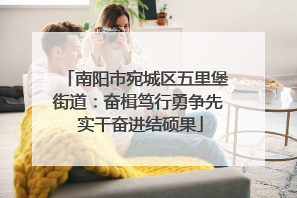 南阳市宛城区五里堡街道：奋楫笃行勇争先 实干奋进结硕果