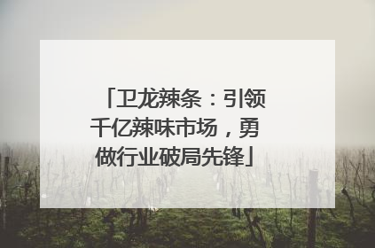 卫龙辣条：引领千亿辣味市场，勇做行业破局先锋