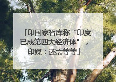 印国家智库称“印度已成第四大经济体”，印媒：还需等等