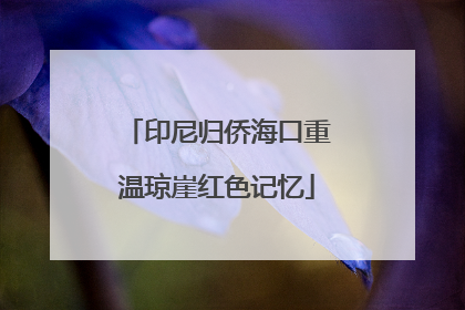 印尼归侨海口重温琼崖红色记忆