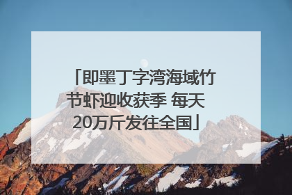即墨丁字湾海域竹节虾迎收获季 每天20万斤发往全国