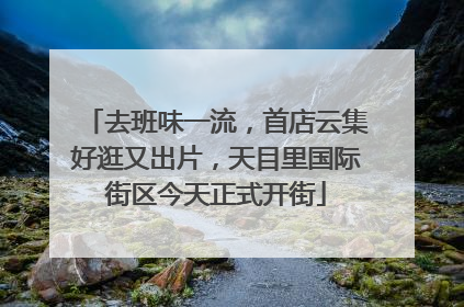 去班味一流，首店云集好逛又出片，天目里国际街区今天正式开街