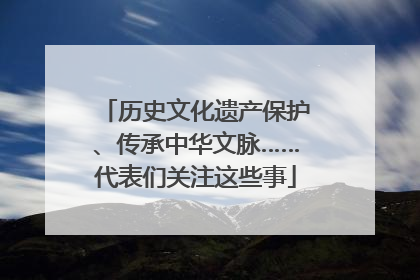 历史文化遗产保护、传承中华文脉……代表们关注这些事