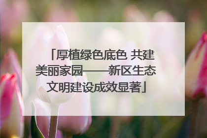 厚植绿色底色 共建美丽家园——新区生态文明建设成效显著